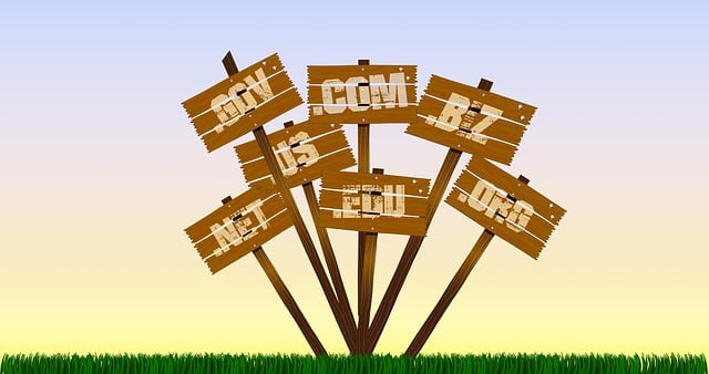 domain name suffixes